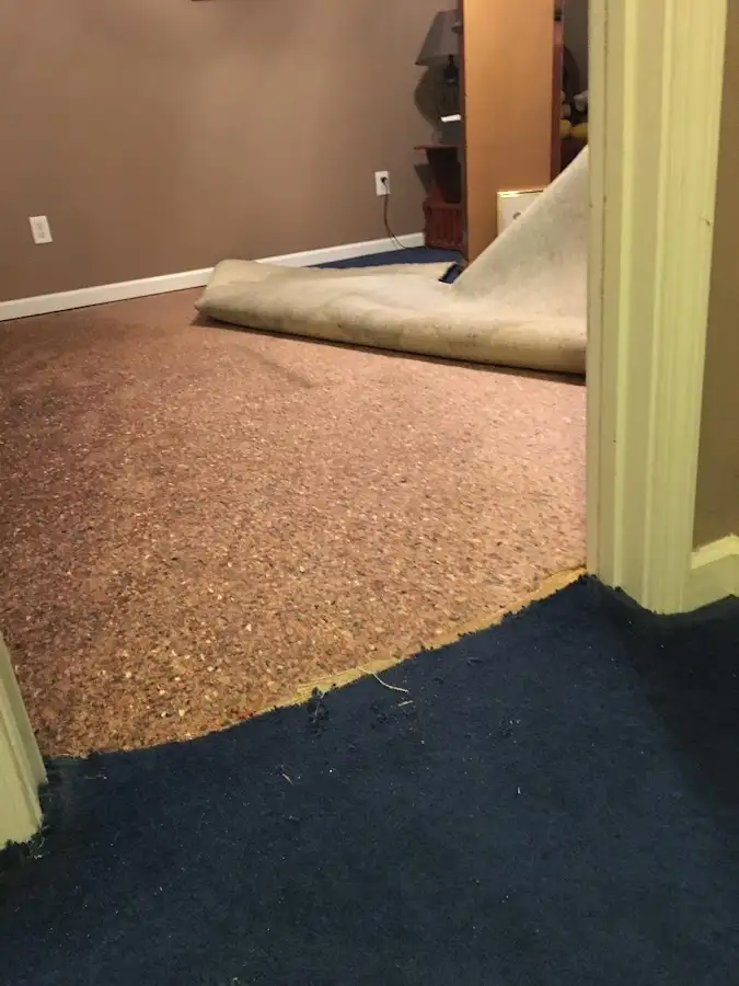 Carpet pad removal revealing water damage during Water Mitigation Services in Hartford