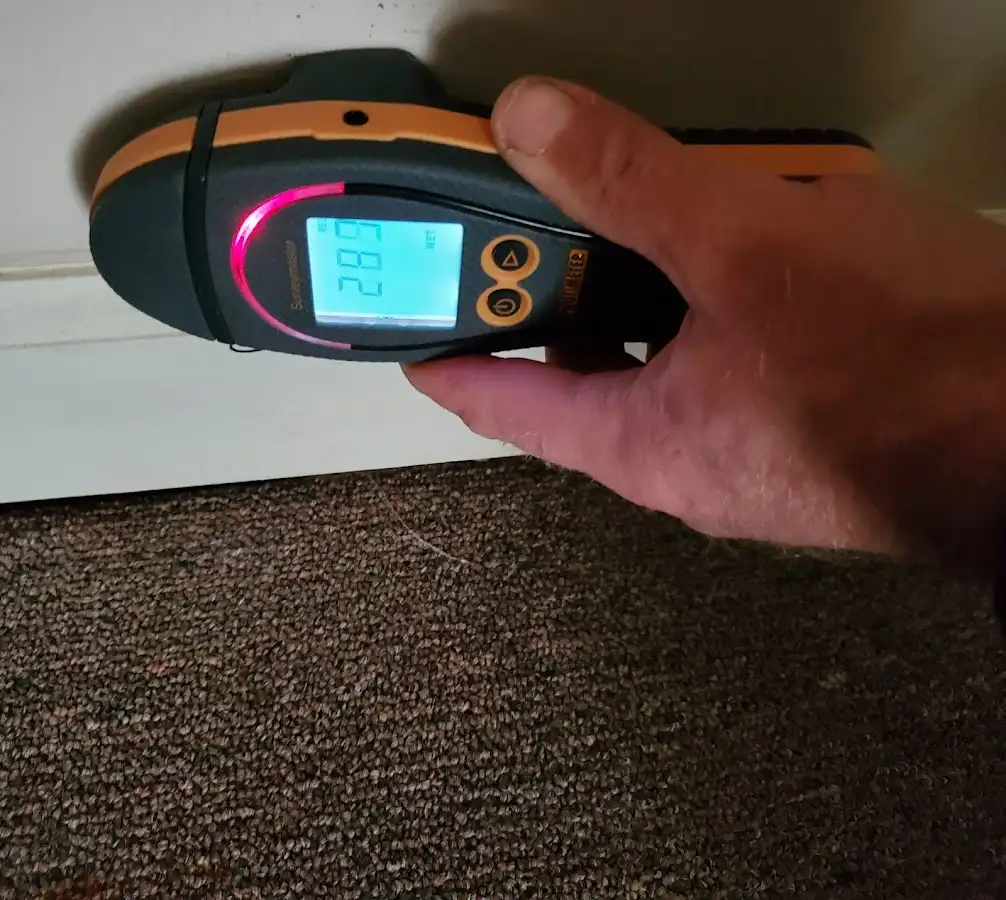 Moisture detection at baseboard during Sewage Cleanup & Sanitation in Hartford